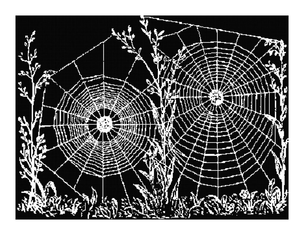 Spiderweb Silhouette Pattern