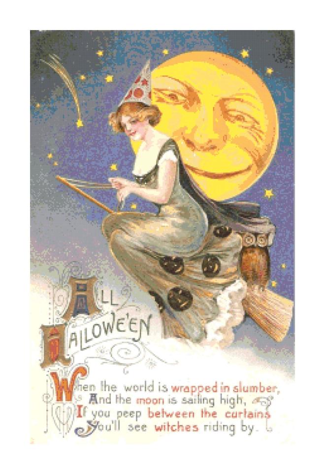 Retro Vintage Halloween  Witch on Broom Pattern