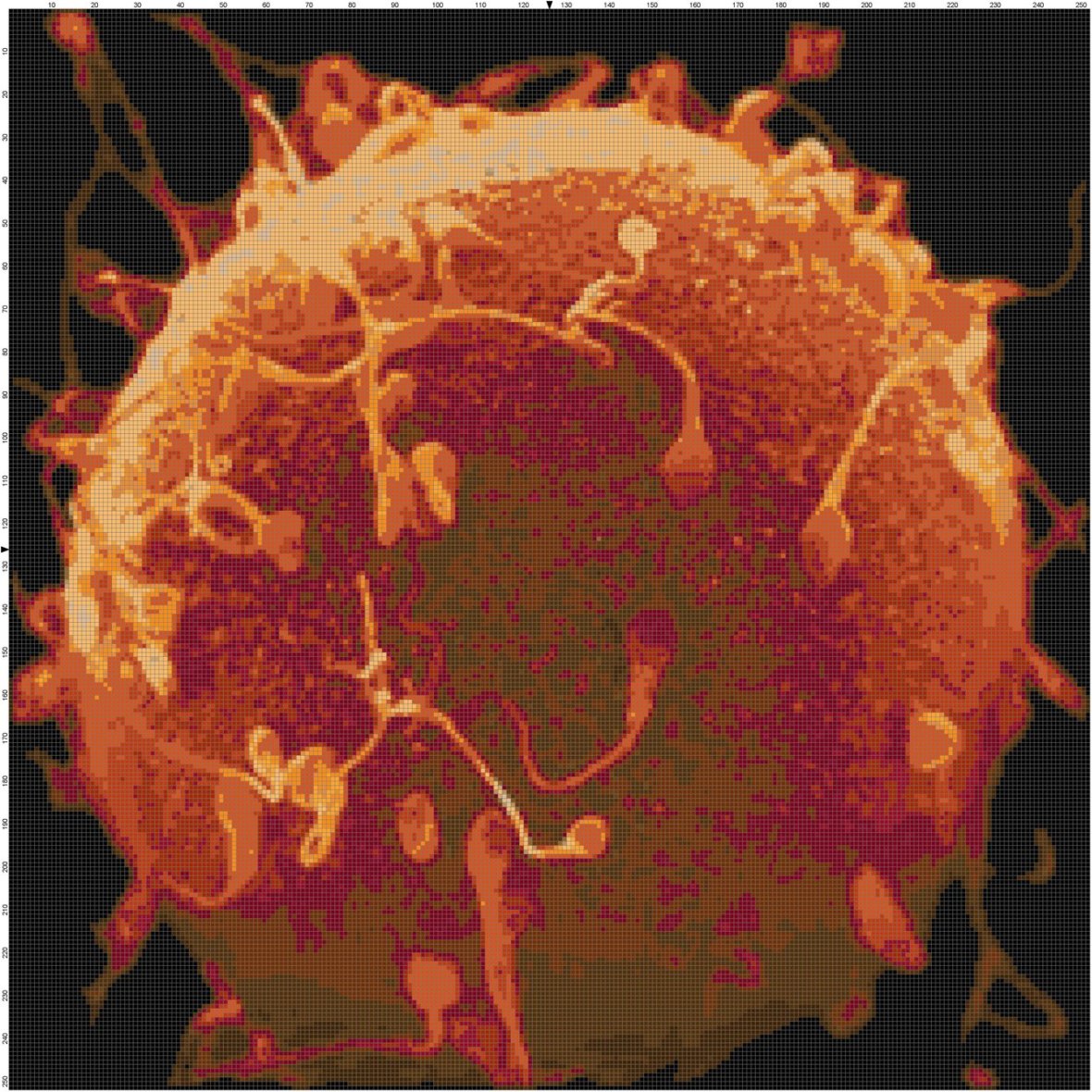 Fertilization Cross-Stitch Pattern https://www.etsy.com/listing/115087057/fertilization-handmade-pdf-cross-stitch?ref=shop_home_active_3