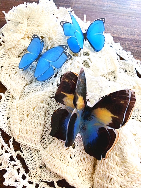 B3249A13-4EB2-4E95-A8C1-1BE0C9A30BDB