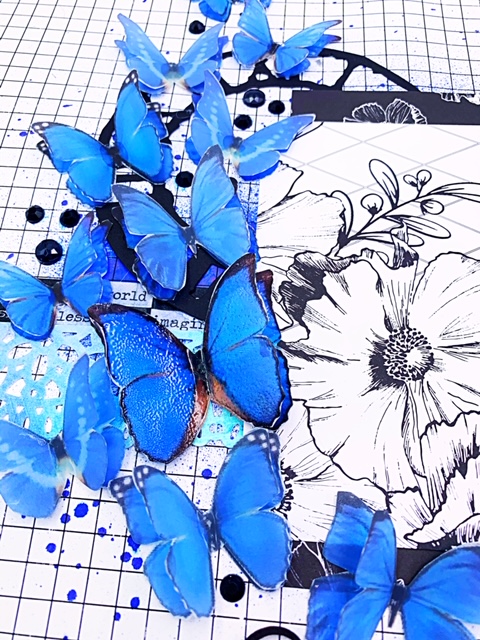 blue butterflies 1