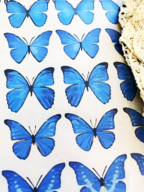 DF067F49-F694-4898-9BA7-839B8DBC1820