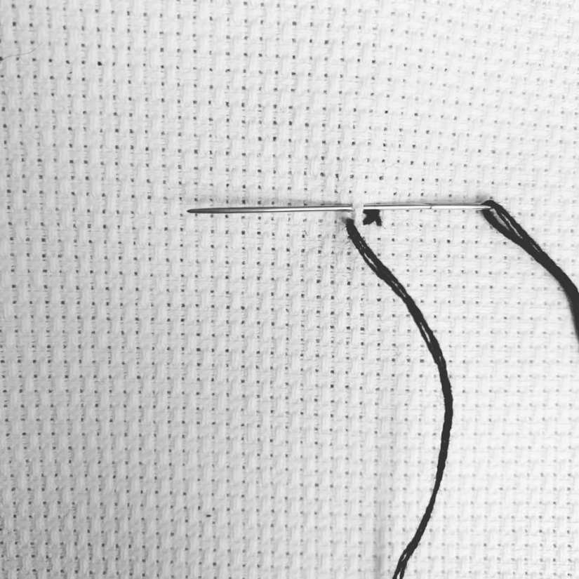 84303515_3332131180151651_5146770588648490679_n